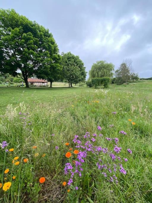 Вилла Spacious Country House In Normandie Moulins-le-Carbonnel Экстерьер фото